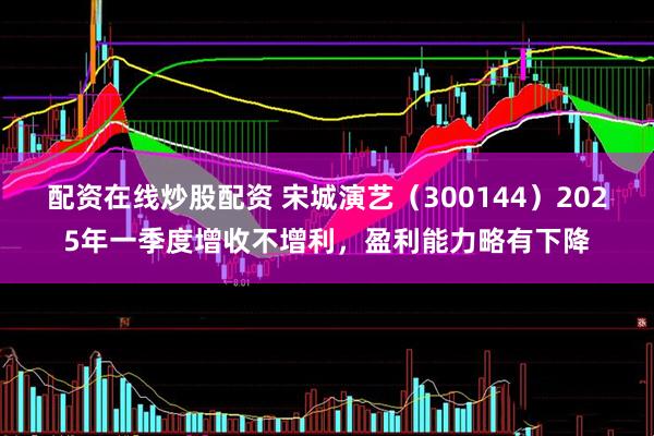 配资在线炒股配资 宋城演艺（300144）2025年一季度增收不增利，盈利能力略有下降