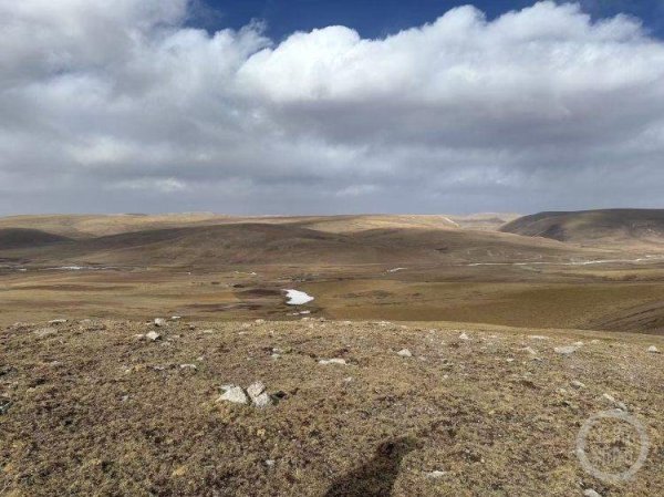 线上配资电话 青海2牧民驱赶牛群起争执 致1死1伤